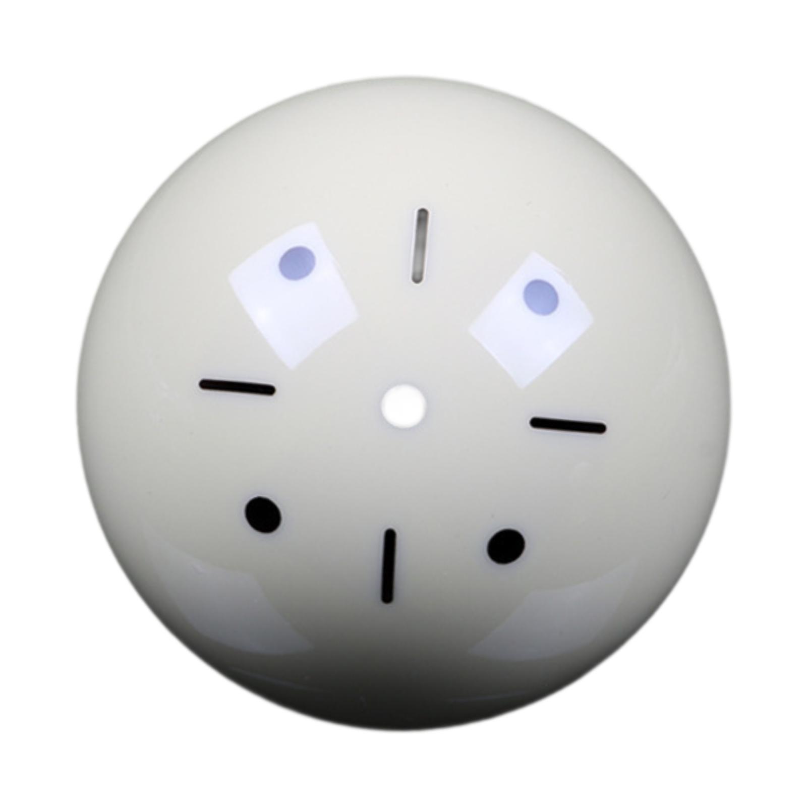 Billard-Trainingshilfe aus Acr – Exercise Ball Stability Bewertung und Preis