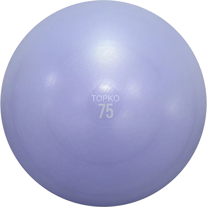 YTYIN TOPKO Yoga-Ball-Übungsba – Exercise Ball Stability Bewertung und Preis